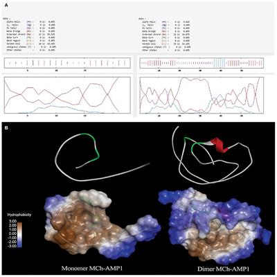 Design, Dimerization, and Recombinant Production of MCh-AMP1–Derived Peptide in Escherichia coli and Evaluation of Its Antifungal Activity and Cytotoxicity